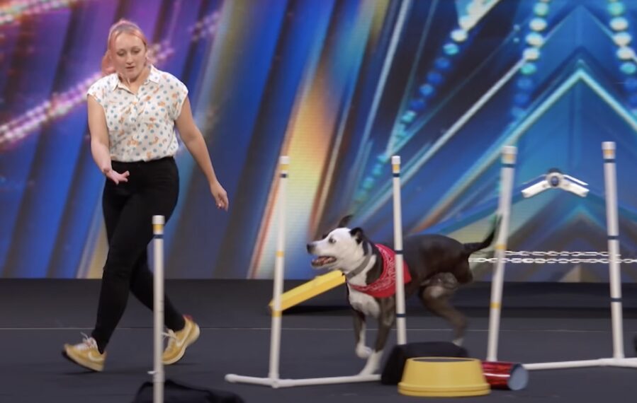 Heather and Bogart on AGT