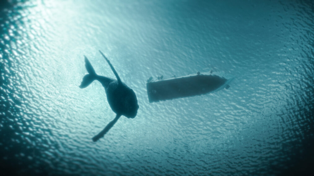 A whale swims underneath a boat in the series premiere of 'The Swarm' on The CW