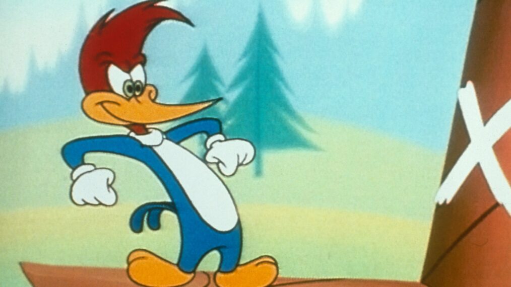 'Woody the Woodpecker'