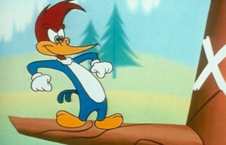 'Woody the Woodpecker'