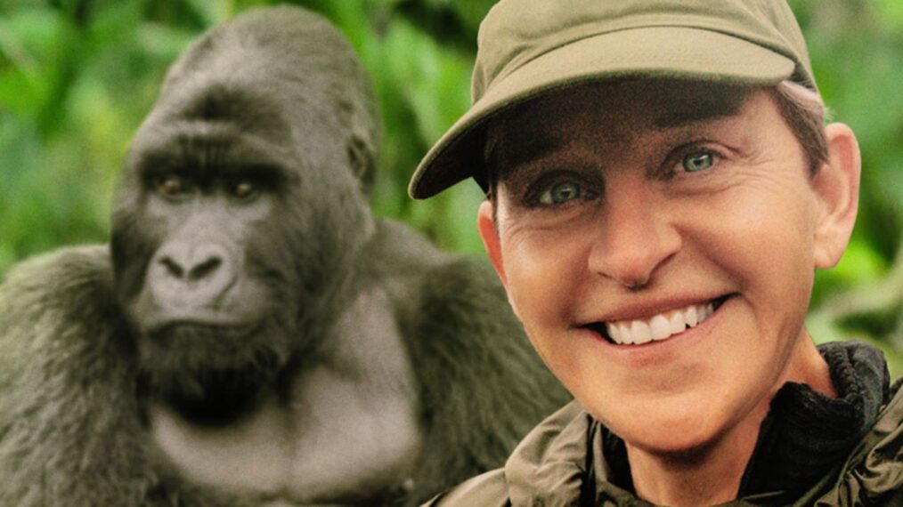 „Rettet die Gorillas: Ellens nächstes Abenteuer“-Schlüsselkunst
