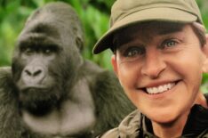 Saving The Gorillas: Ellen's Next Adventure Key Art