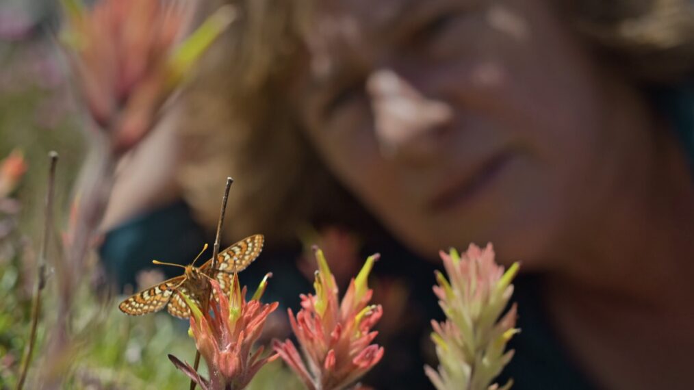 Captura de pantalla de 'Evolution Earth' de PBS