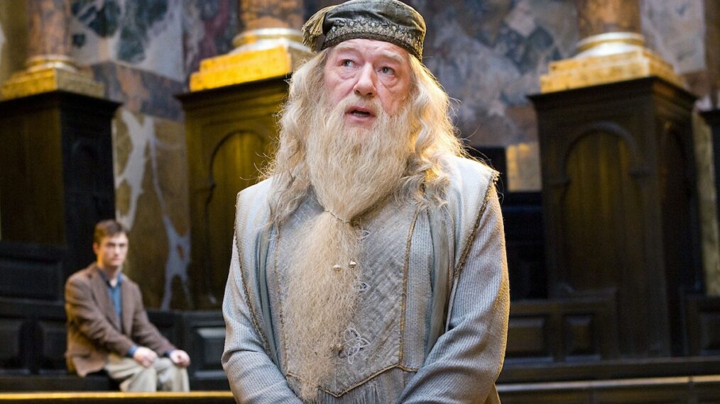 Michael Gambon in Harry Potter