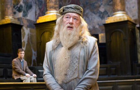 Michael Gambon in Harry Potter