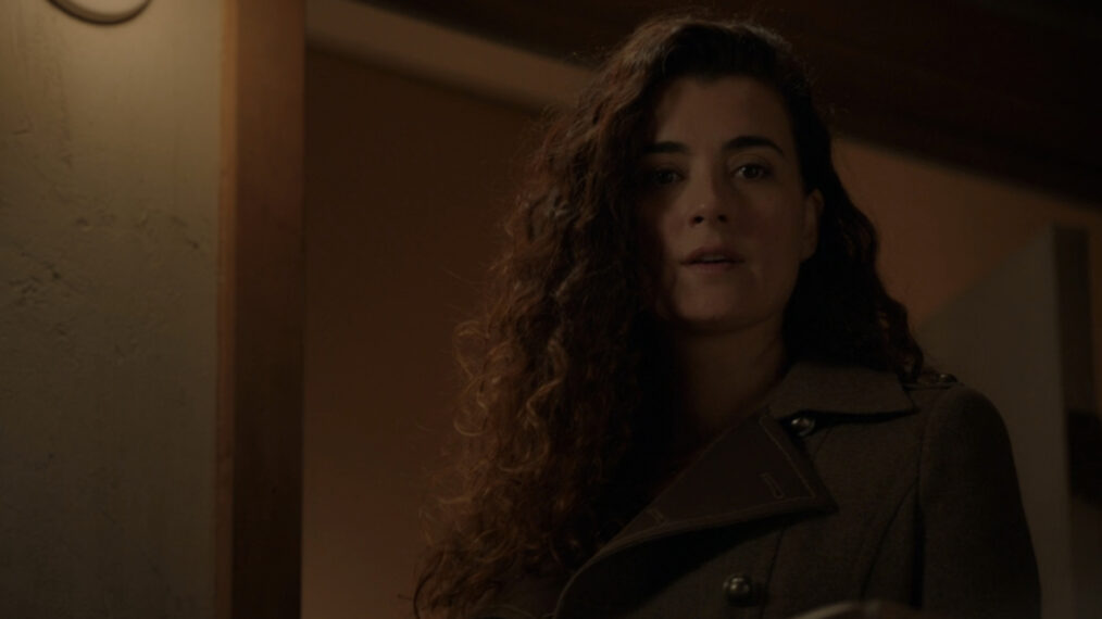 Cote de Pablo in 'NCIS'