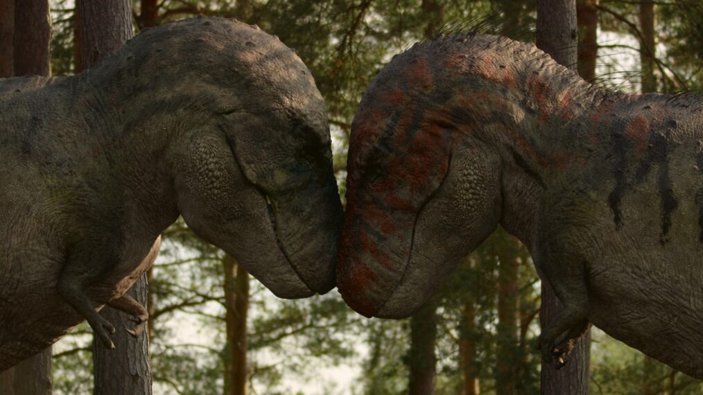 T-Rexes touching their heads together in Netflix's 'Life on our Planet'