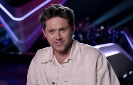 Niall Horan in 'The Voice'