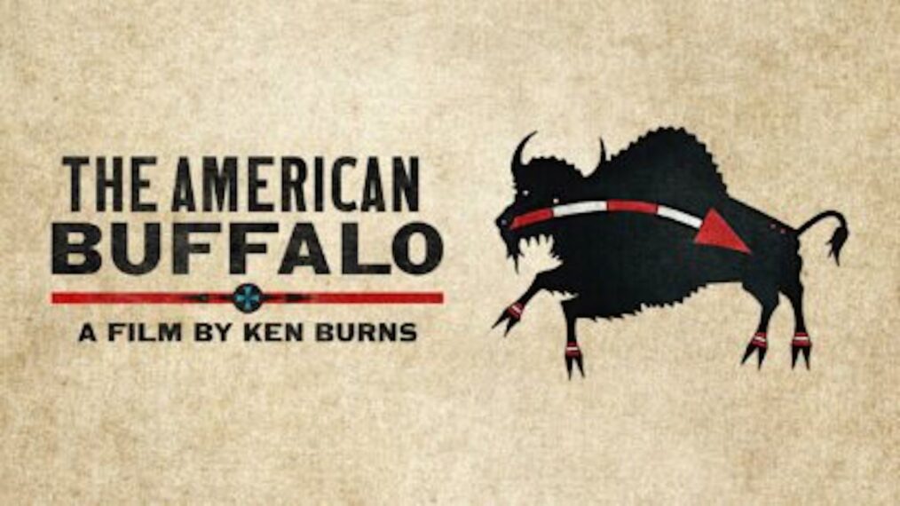 Ken Burns' 'The American Buffalo' key art
