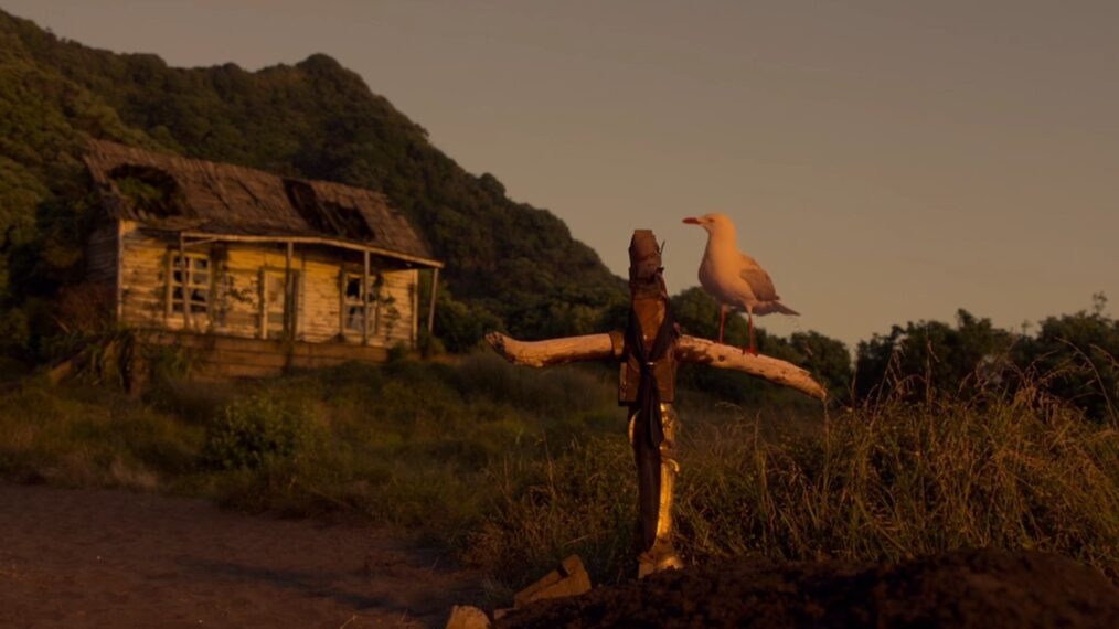 Buttons the Seagull stands on Izzy Hands' grave in the 'Our Flag Means Death' Season 2 finale