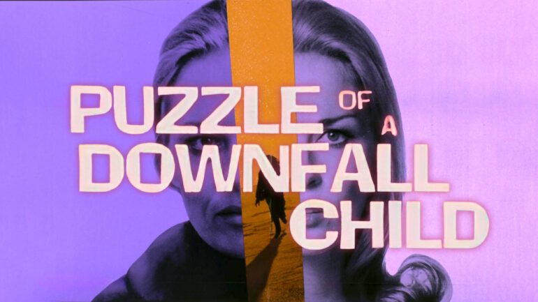 Puzzle of a Downfall Child - 