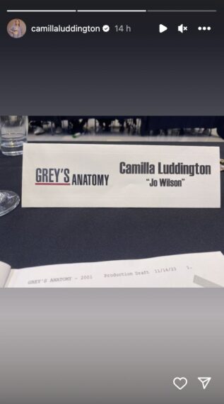 Camilla Luddington Instagram