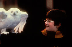 Daniel Radcliffe in Harry Potter and the Sorcerer’s Stone