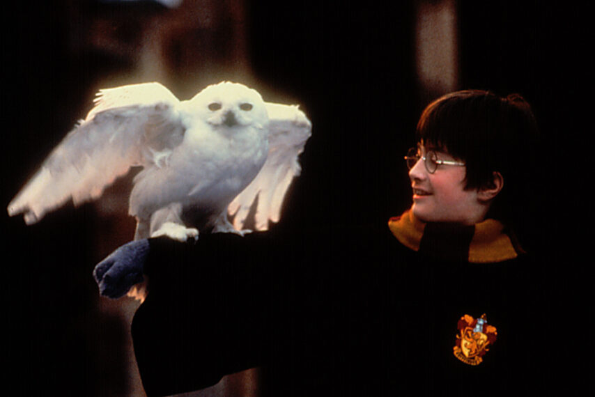 HARRY POTTER AND THE SORCERER'S STONE, Daniel Radcliffe, 2001
