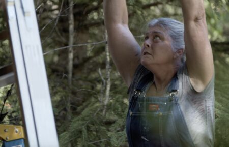 Sue Aikens repairs her Chena property in 'Life Below Zero' Season 22 Episode 2