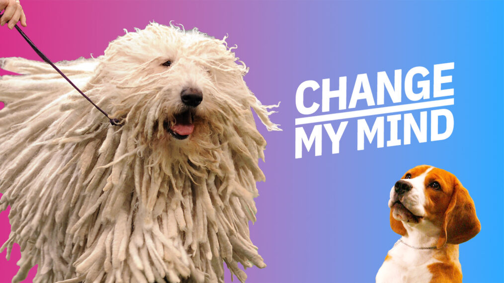 Best Thanksgiving - National Dog Show -Change My Mind