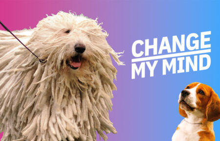 Best Thanksgiving - National Dog Show -Change My Mind