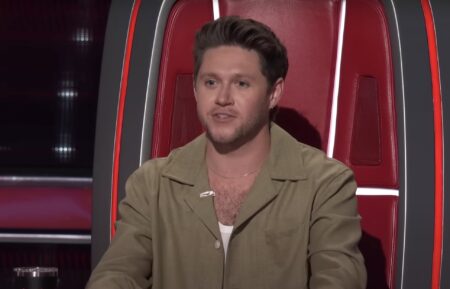 Niall Horan on The Voice