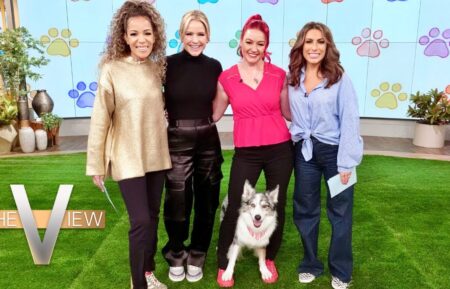 The Secret Lives of Dancing Dogs x The View