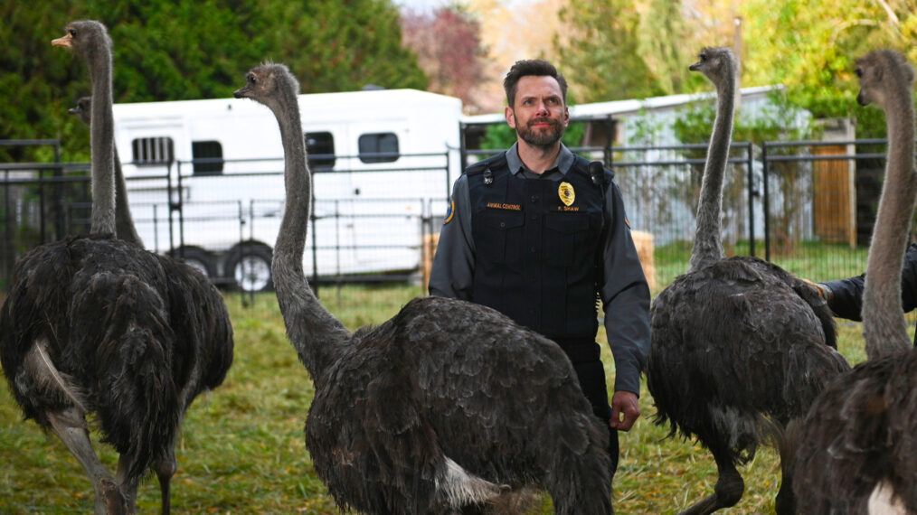 Joel McHale as Frank Shaw in 'Animal Control'