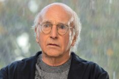 Larry David for 'Curb Your Enthusiasm'