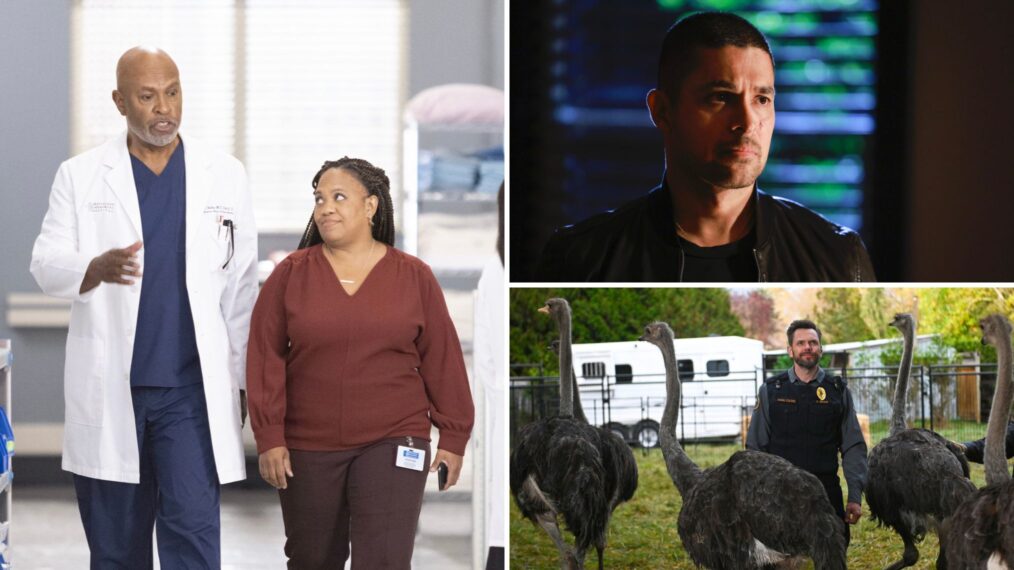 'Grey's Anatomy,' 'NCIS,' 'Animal Control'