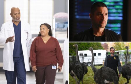 'Grey's Anatomy,' 'NCIS,' 'Animal Control'