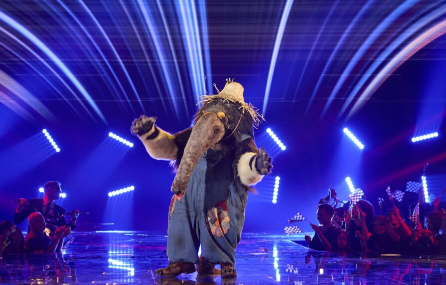 Ameisenbär – „The Masked Singer“