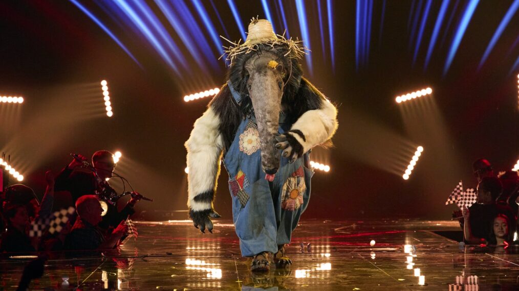 Anteater in 'The Masked Singer'