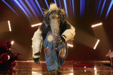 'The Masked Singer': Anteater Reveals Part of Competition He 'Faked' His Way Through