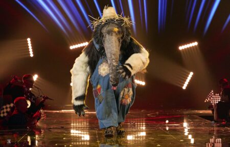 Anteater in 'The Masked Singer'