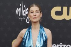 Rosamund Pike attends the 29th Annual Critics Choice Awards in January 2024