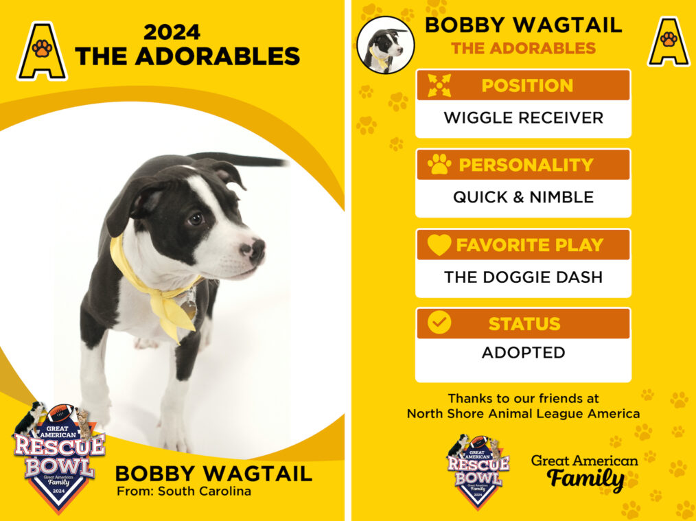 Bobby Wagtail for the 'Great American Rescue Bowl'