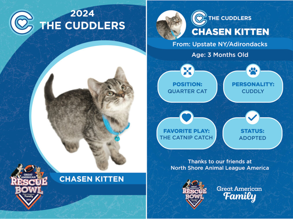 Chasen Kitten for the 'Great American Rescue Bowl'