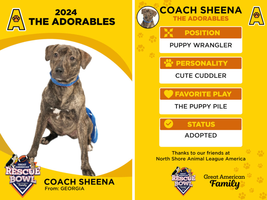 Coach Sheena for the 'Great American Rescue Bowl'