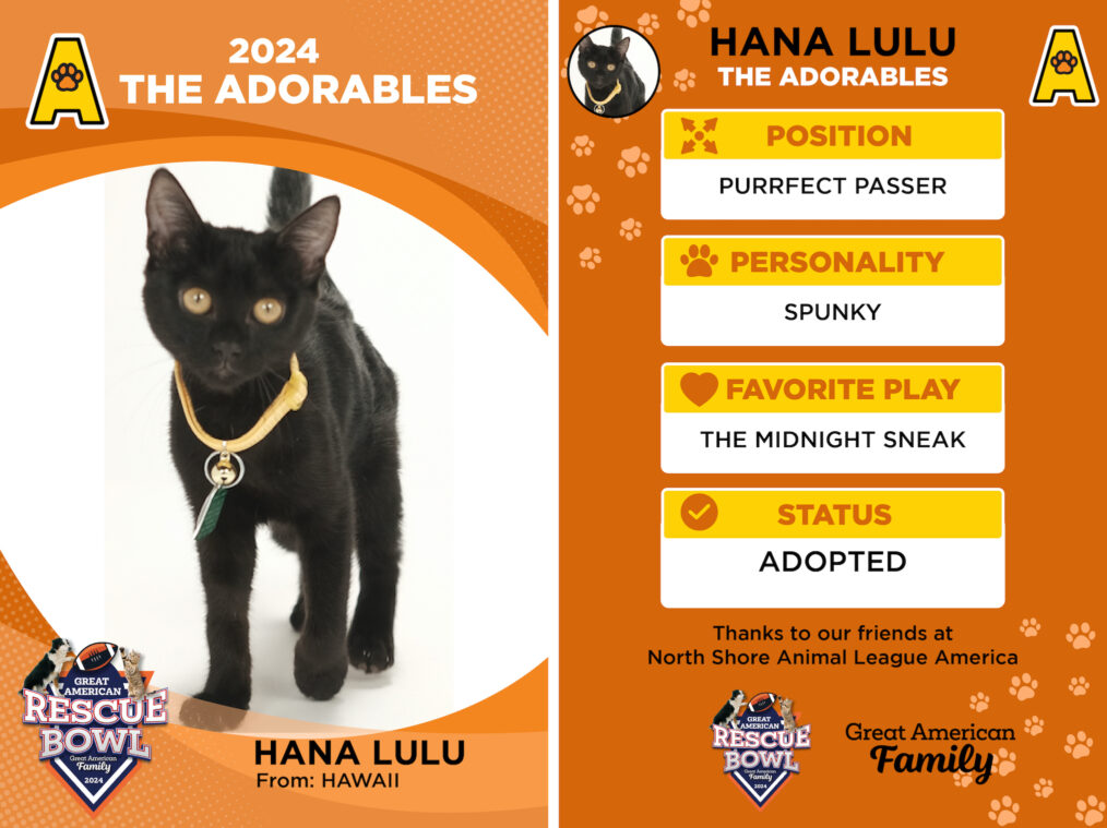 Hana Lulu for the 'Great American Rescue Bowl'