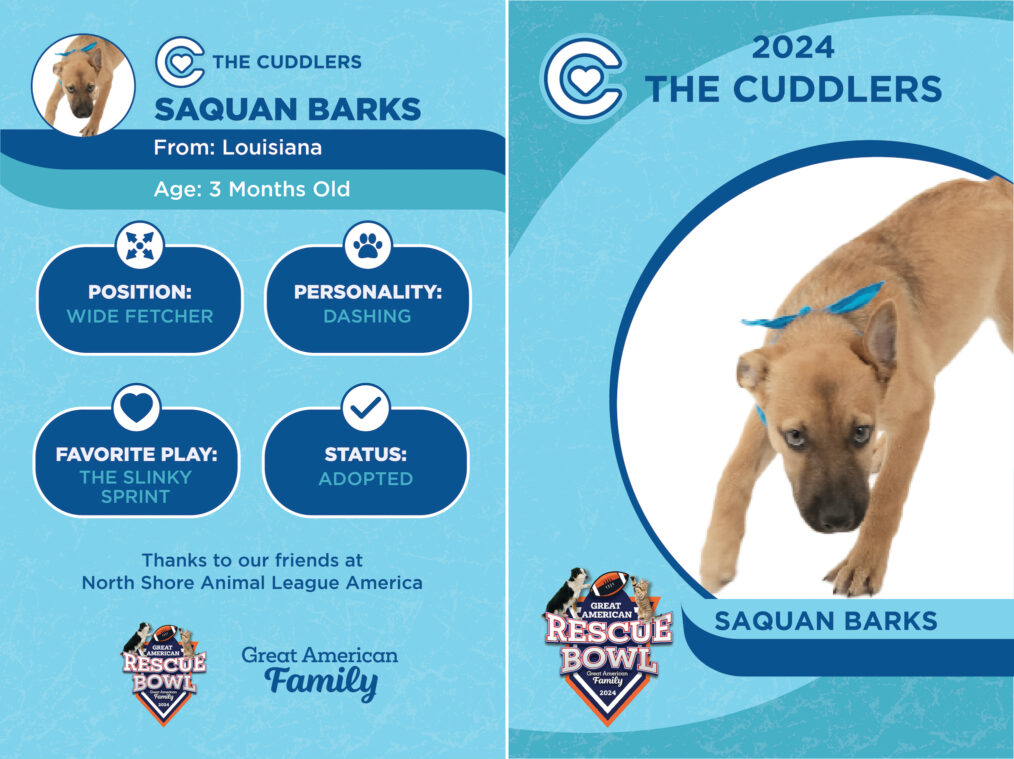 Saquan Barks for the 'Great American Rescue Bowl'