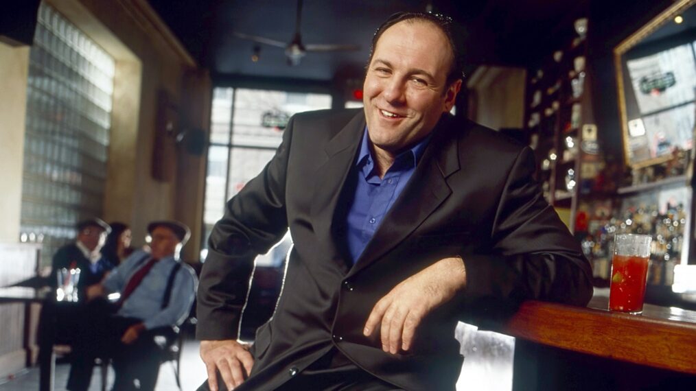 James Gandolfini for 'The Sopranos'