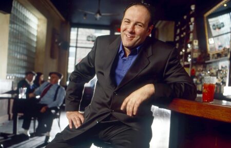 James Gandolfini for 'The Sopranos'