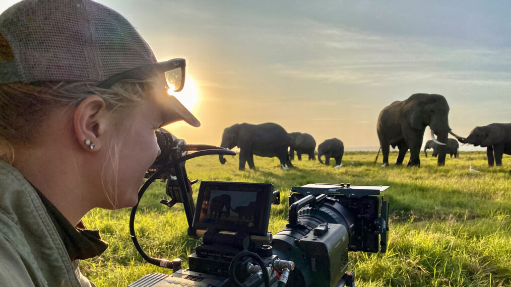Erin Ranney Director de fotografía y aprendiz filma elefantes en África desde un vehículo de filmación especializado en RED en 