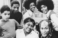 Ralph Carter, Jimmie Walker, Esther Rolle, BernNadette Stanis, John Amos, Ja'net Dubois, Season 1, 1974.