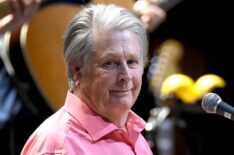 Brian Wilson performs on stage