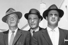 Russell Thorson, Lee Farr, and Tige Andrews in The Detectives