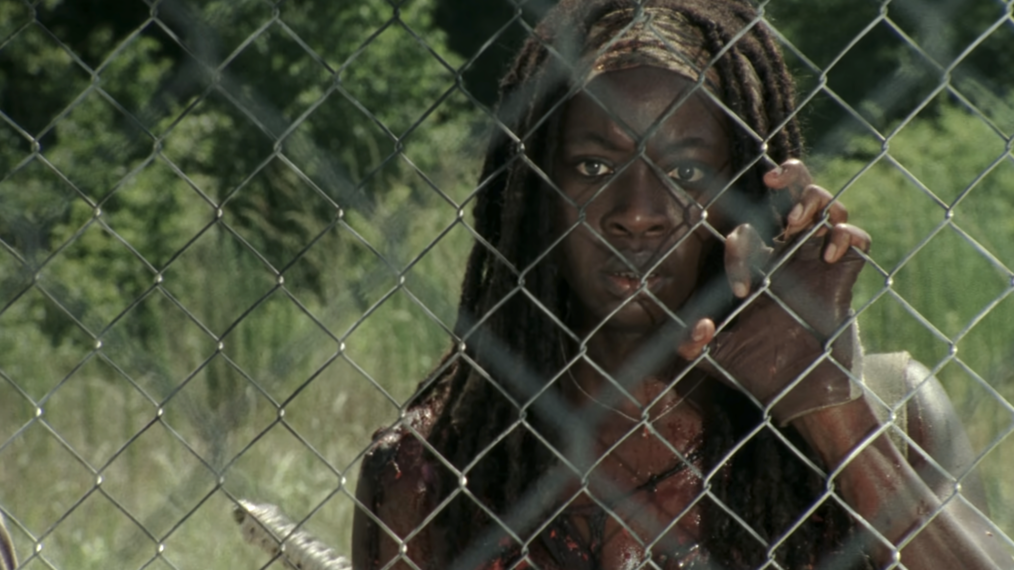 Danai Gurira as Michonne