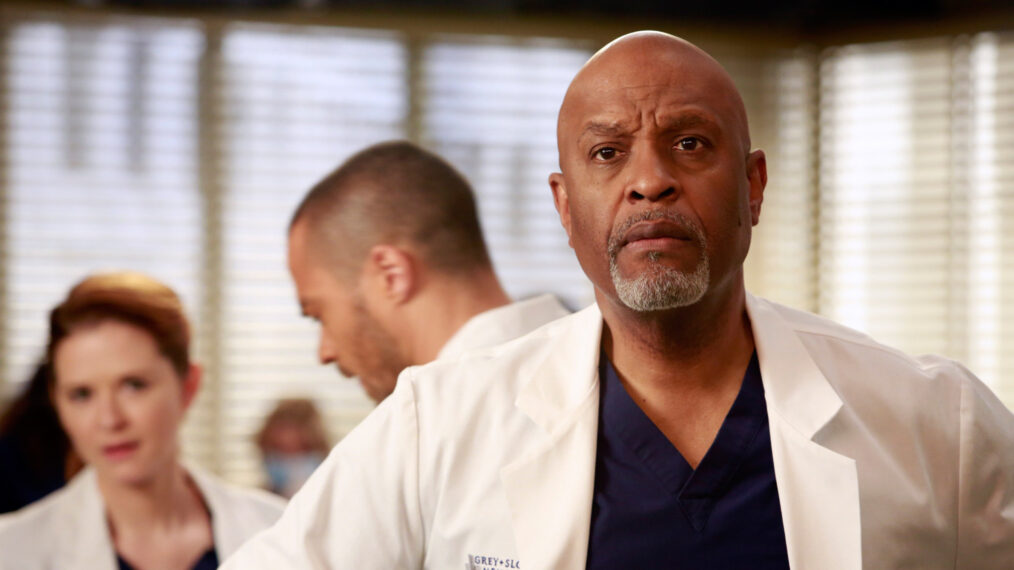 James Pickens Jr. as Richard Webber on 'Grey's Anatomy'