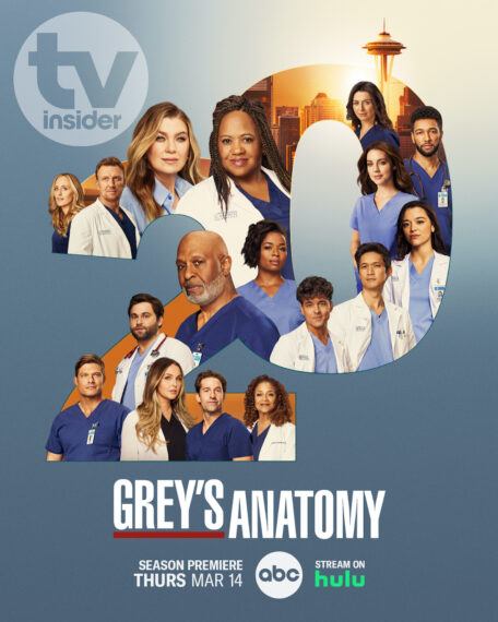 'Grey's Anatomy' Season 20 Poster