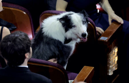 Messi from 'Anatomy of a Fall' at the Oscars