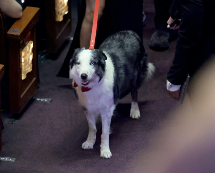 Messi on a leash at the 2024 Oscars