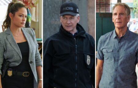 Vanessa Lachey, Mark Harmon, and Scott Bakula for the 'NCIS' franchise