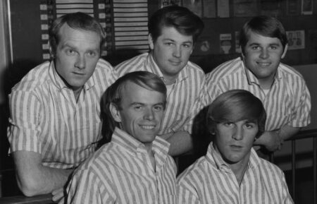 Mike Love, Al Jardine, Brian Wilson, Dennis Wilson and Carl Wilson from The Beach Boys